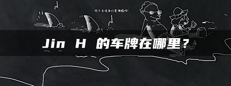 Jin H 的车牌在哪里？