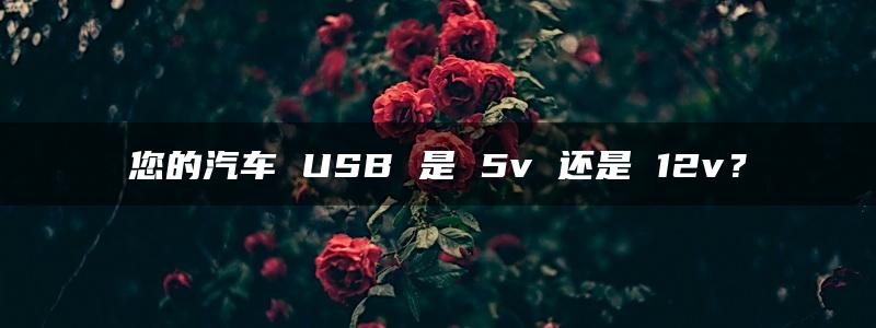 您的汽车 USB 是 5v 还是 12v？