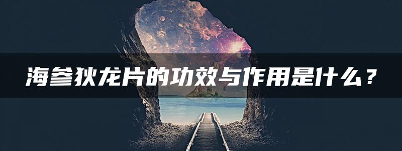 海参狄龙片的功效与作用是什么？