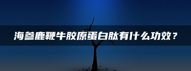 海参鹿鞭牛胶原蛋白肽有什么功效？