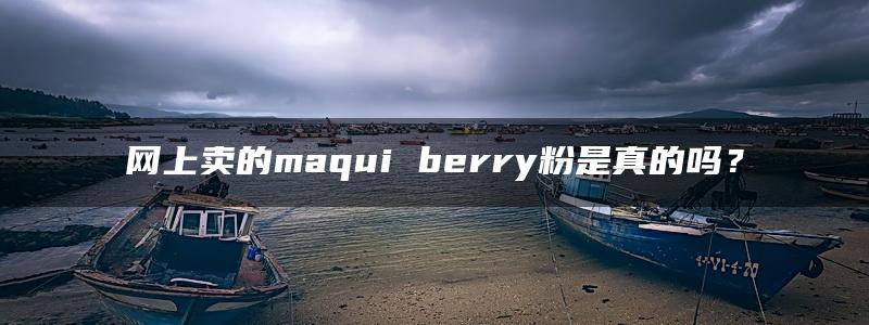 网上卖的maqui berry粉是真的吗？