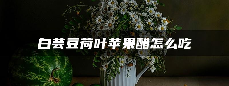 白芸豆荷叶苹果醋怎么吃