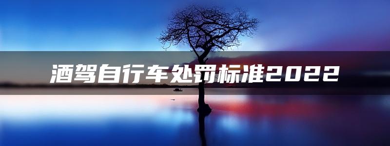 酒驾自行车处罚标准2022