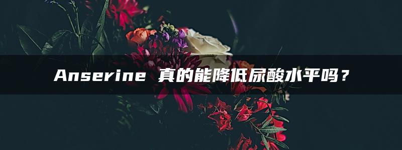 Anserine 真的能降低尿酸水平吗？