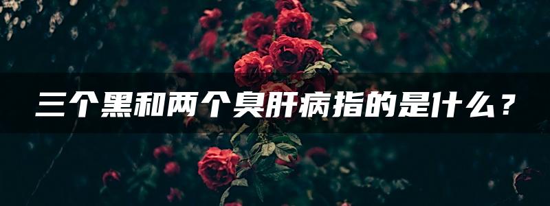 三个黑和两个臭肝病指的是什么？