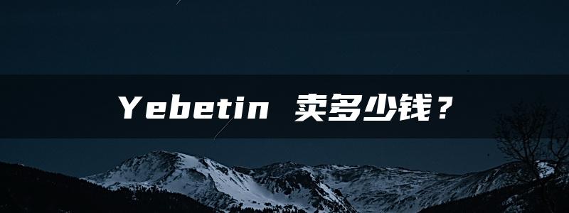 Yebetin 卖多少钱？