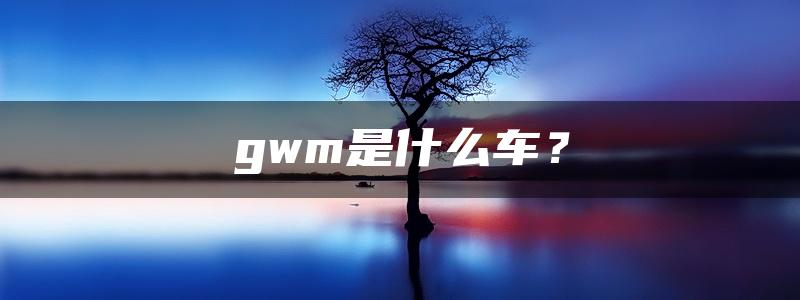 gwm是什么车？