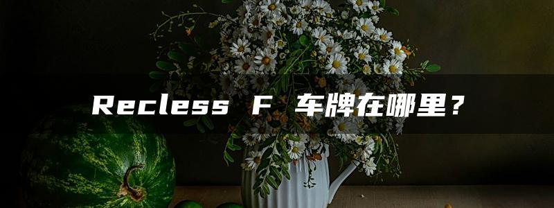 Recless F 车牌在哪里？