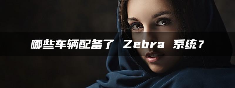 哪些车辆配备了 Zebra 系统？