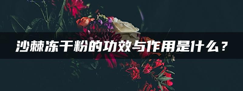 沙棘冻干粉的功效与作用是什么？