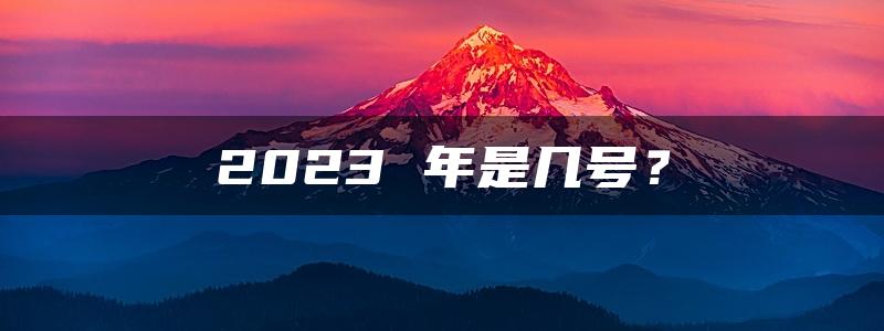 2023 年是几号？