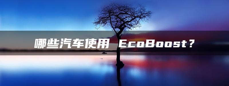 哪些汽车使用 EcoBoost？