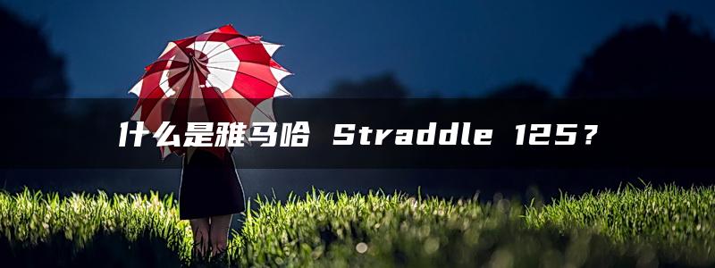 什么是雅马哈 Straddle 125？