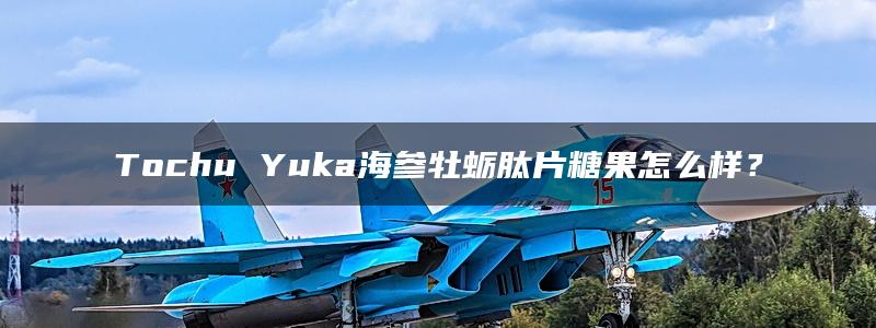 Tochu Yuka海参牡蛎肽片糖果怎么样？