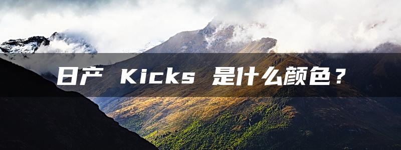 日产 Kicks 是什么颜色？