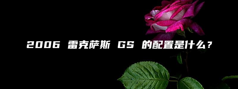 2006 雷克萨斯 GS 的配置是什么？