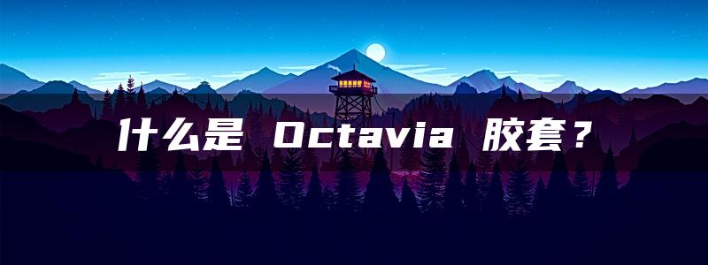 什么是 Octavia 胶套？