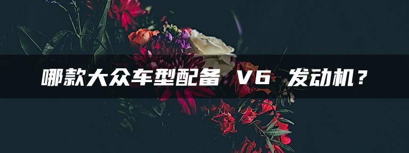 哪款大众车型配备 V6 发动机？