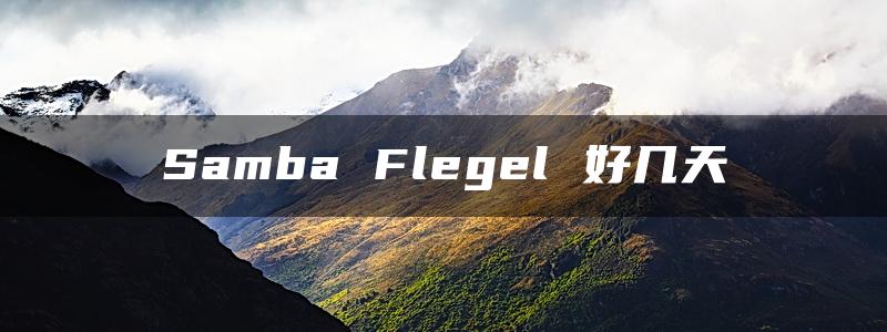 Samba Flegel 好几天