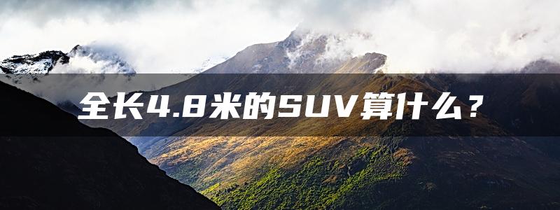 全长4.8米的SUV算什么？