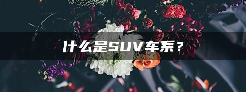 什么是SUV车系？