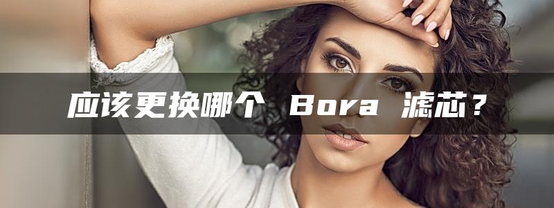 应该更换哪个 Bora 滤芯？