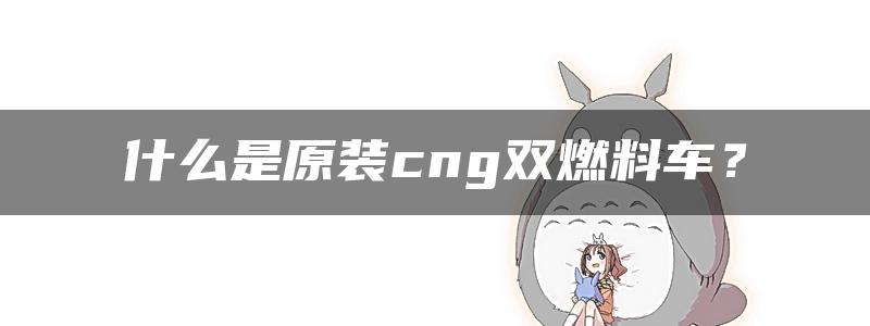 什么是原装cng双燃料车？