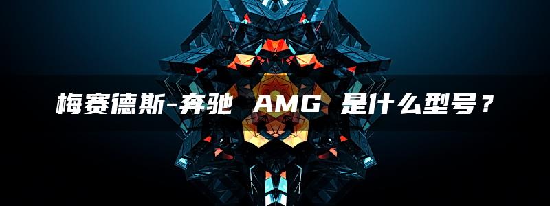 梅赛德斯-奔驰 AMG 是什么型号？