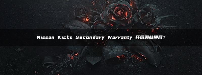 Nissan Kicks Secondary Warranty 开展哪些项目？