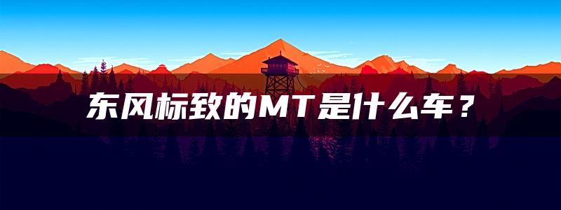 东风标致的MT是什么车？