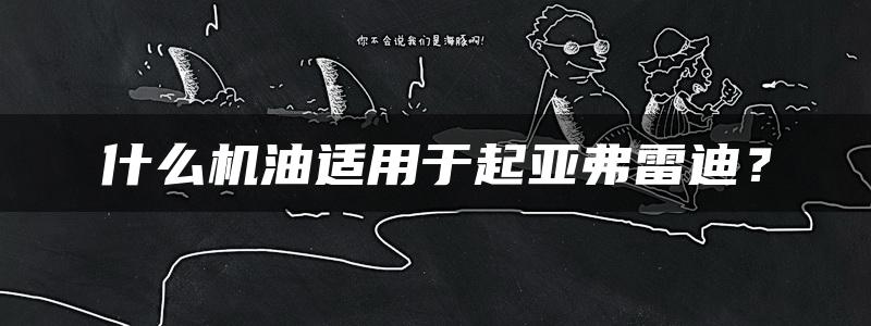 什么机油适用于起亚弗雷迪？