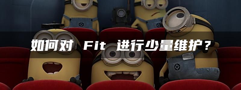 如何对 Fit 进行少量维护？