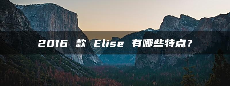 2016 款 Elise 有哪些特点？