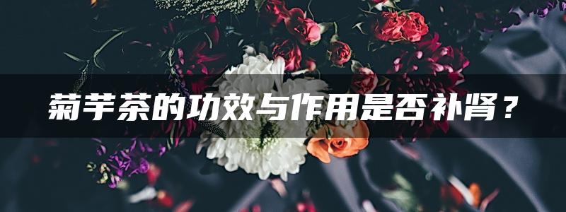 菊芋茶的功效与作用是否补肾？