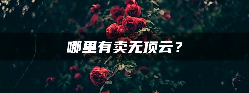 哪里有卖无顶云？