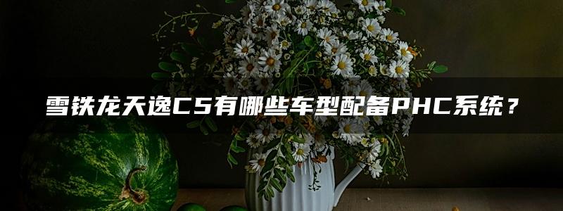 雪铁龙天逸C5有哪些车型配备PHC系统？