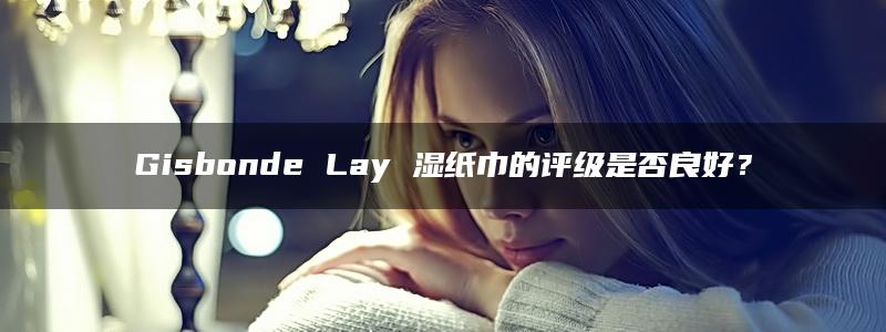 Gisbonde Lay 湿纸巾的评级是否良好？