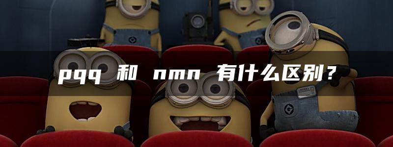 pqq 和 nmn 有什么区别？