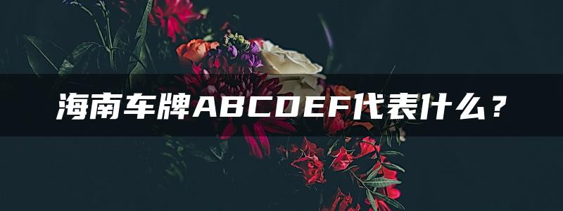 海南车牌ABCDEF代表什么？