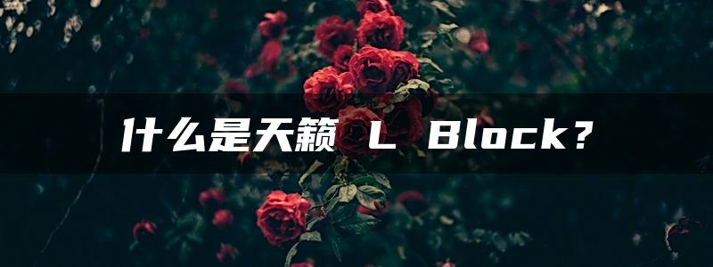 什么是天籁 L Block？