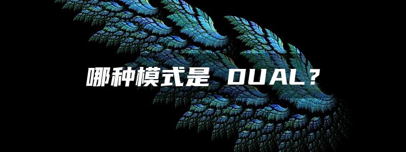 哪种模式是 DUAL？