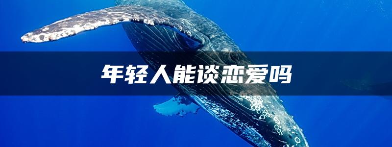 年轻人能谈恋爱吗