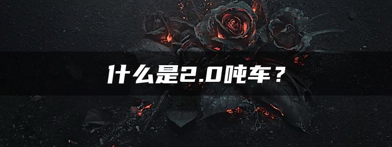 什么是2.0吨车？