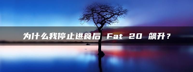 为什么我停止进食后 Fat 20 飙升？