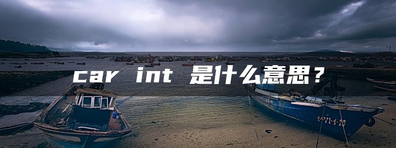 car int 是什么意思？