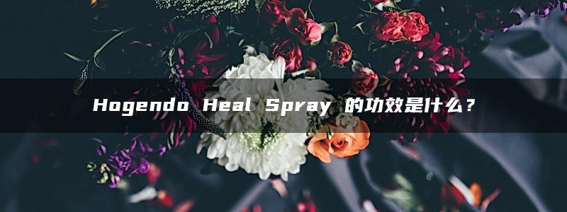 Hogendo Heal Spray 的功效是什么？