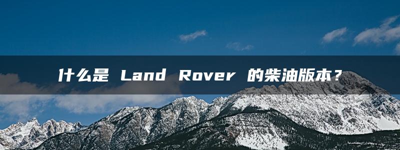 什么是 Land Rover 的柴油版本？