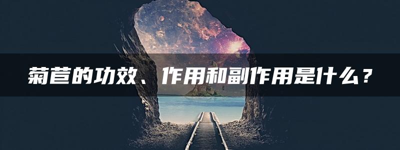 菊苣的功效、作用和副作用是什么？