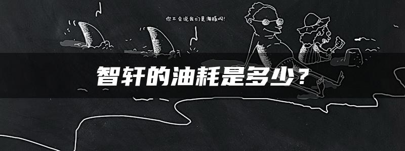 智轩的油耗是多少？