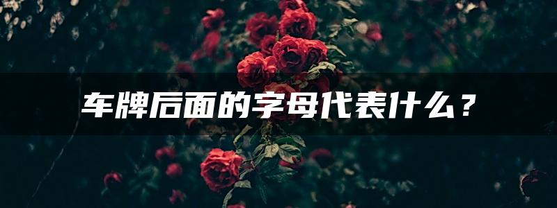 车牌后面的字母代表什么？